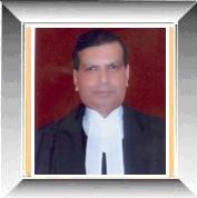 Hon'ble Mr. Justice Surjit Singh