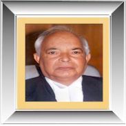 Hon'ble  Justice P.N Nag